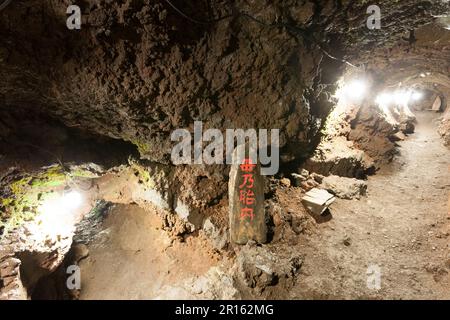 Albero di utero Funatsu Foto Stock