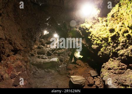 Albero di utero Funatsu Foto Stock