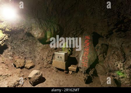 Albero di utero Funatsu Foto Stock