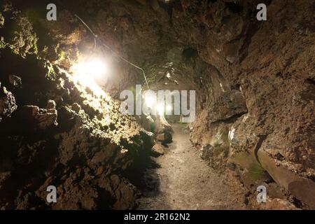 Albero di utero Funatsu Foto Stock