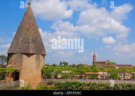 Albi, Palais de la Berbie, Museo Toulouse Lautrec, Giardino francese, Tarn, Midi-Pirenei, Francia Foto Stock