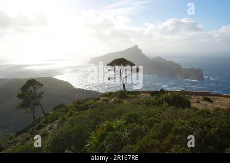 Vista dell'isola di SA Dragonera, escursione da Sant Elm al monastero di la Trapa, Maiorca, Isole Baleari, Spagna Foto Stock