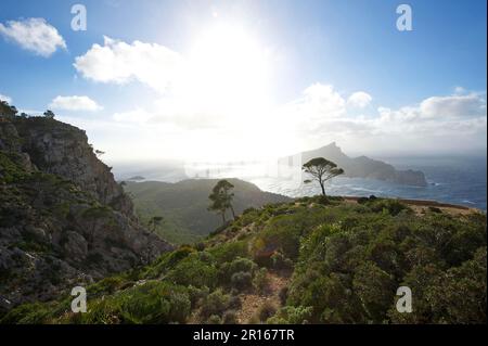 Vista dell'isola di SA Dragonera, escursione da Sant Elm al monastero di la Trapa, Maiorca, Isole Baleari, Spagna Foto Stock