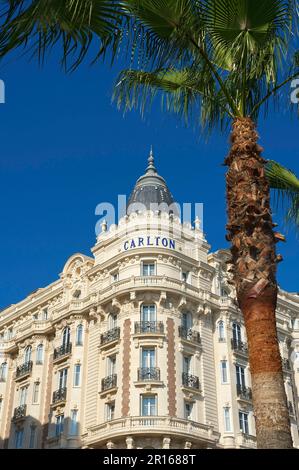 Hotel Carlton on the Croisette a Cannes, Costa Azzurra, Provenza-Alpi-Costa Azzurra, Francia Foto Stock