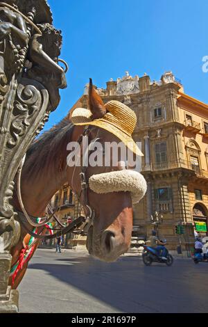 Carrozza trainata da cavalli a Palermo, Sicilia, Italia Foto Stock