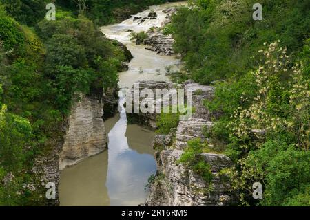 Vista durante una giornata nuvolosa delle gole del metauro, i canyon formati dal fiume metauro vicino alla città di Fossombrone nelle Marche Italia Foto Stock