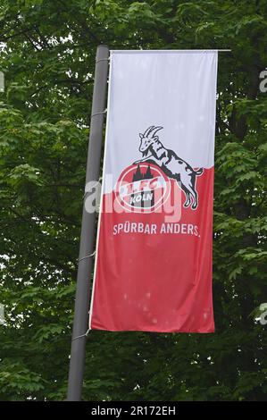 Colonia, Germania. 11th maggio, 2023. Una bandiera rossa e bianca con il logo e la scritta della squadra di calcio di Colonia 1.FC Köln. Credit: Horst Galuschka/dpa/Horst Galuschka dpa/Alamy Live News Foto Stock