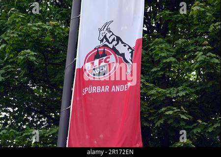 Colonia, Germania. 11th maggio, 2023. Una bandiera rossa e bianca con il logo e la scritta della squadra di calcio di Colonia 1.FC Köln. Credit: Horst Galuschka/dpa/Horst Galuschka dpa/Alamy Live News Foto Stock