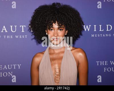 11 maggio 2023, Hollywood, California, USA: AVA MONET partecipa alla la Premiere di 'Wild Beauty: Mustang Spirit of the West'. (Credit Image: © Billy Bennight/ZUMA Press Wire) SOLO PER USO EDITORIALE! Non per USO commerciale! Foto Stock