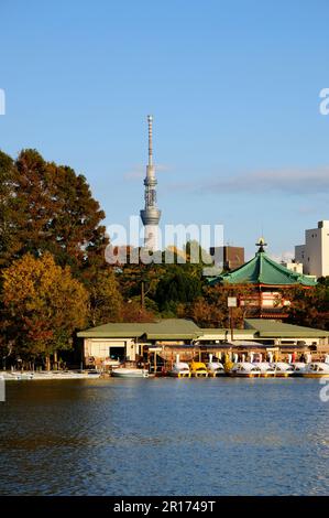 Shinobazu Pond Park e Tokyo Sky Tree Foto Stock