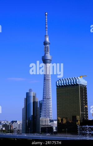 Tokyo Sky Tree Foto Stock