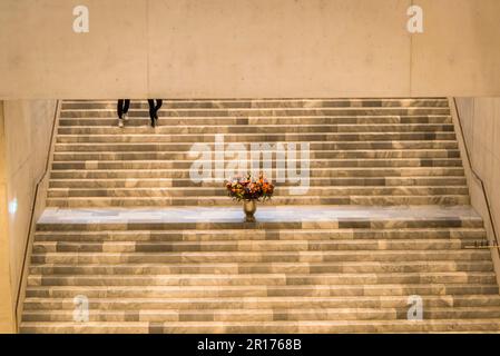 Grande scalinata nel nuovo edificio della Kunsthaus, Museo d'Arte, Zurigo, Svizzera Foto Stock