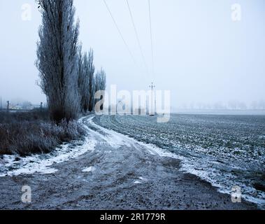 Una strada sterrata isolata si snoda attraverso un paesaggio innevato, con alberi e arbusti Foto Stock