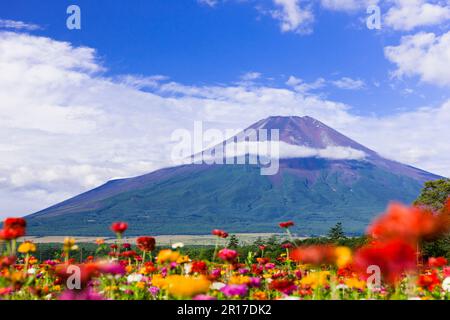 Vista sul Monte Fuji e sul giardino fiorito durante l'estate Foto Stock