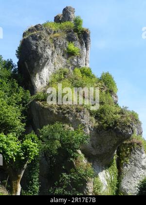 Germania, Baviera, Tuchersfeld nella "Svizzera francone": Formazioni rocciose calcaree bizzarre sostengono una profusione di vegetazione. Foto Stock