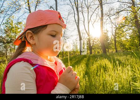 Una ragazza siede nell'erba verde spessa e tiene un dente di leone nelle sue mani contro lo sfondo del tramonto. Passeggiate all'aperto nel parco cittadino Foto Stock