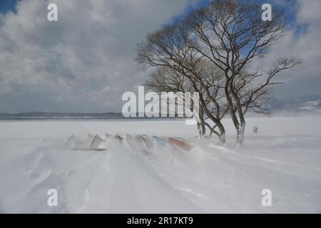 Barche e alberi sulla riva del lago sepolti sotto la neve Foto Stock