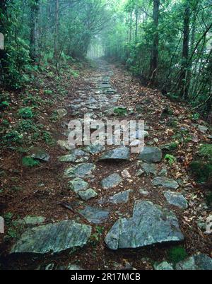 Kumano Kodo piccolo marciapiede laterale Foto Stock