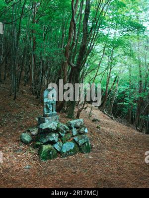 Passo di Hatenashi a Kumano Kodo Foto Stock