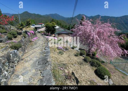 Monumento di Kumano antica strada piccola strada laterale Foto Stock