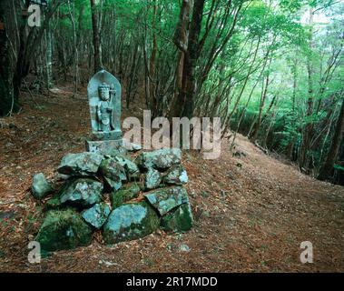 Passo di Hatenashi a Kumano Kodo Foto Stock