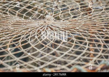 Particolare della lavorazione del ropework su una pentola di aragosta del pescatore, sulla riva a Teignmouth, Devon, Gran Bretagna. Foto Stock