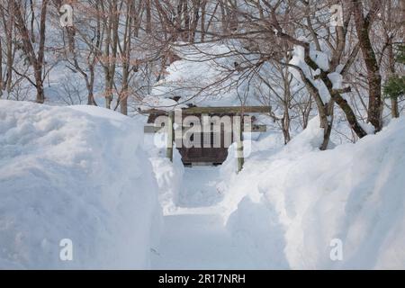 Shirakawa villaggio Hatogaya Hachiman santuario in forte nevicata Foto Stock