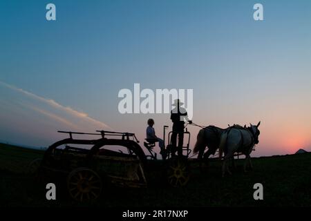 Vecchia fattoria Amish con uomo a arare i campi di lavoro Lancaster Pennsylvania Foto Stock