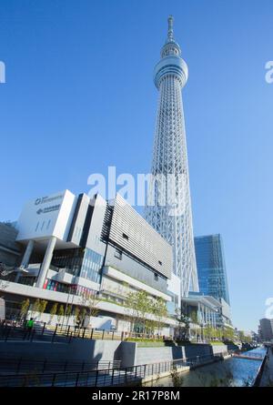 Cielo di Tokyo al mattino Foto Stock