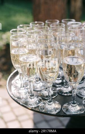 Tavolo da matrimonio servito in stile foresta Foto Stock