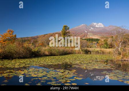 Imori stagno e Mt. Myoko Foto Stock