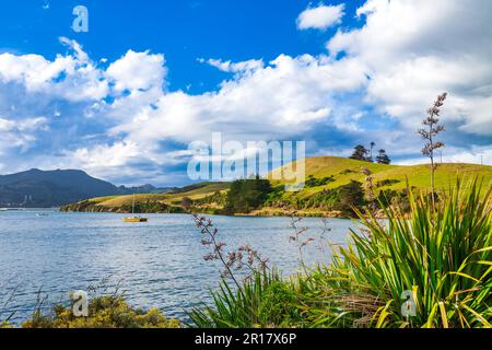 Panoramica della costa del Porto di Otago vicino a Portobello nell'Isola Sud della Nuova Zelanda Foto Stock