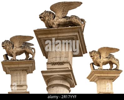 Statua in marmo del Leone alare di San Marco, isolata su sfondo bianco. Simbolo della Repubblica Veneziana. Piazza maggiore, F. Foto Stock