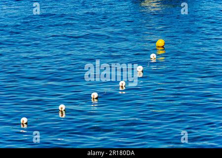 Fila di boe bianche e gialle in un piccolo porto in Liguria, villaggio di Tellaro, comune di Lerici, Golfo di la Spezia, Italia, Europa. Foto Stock