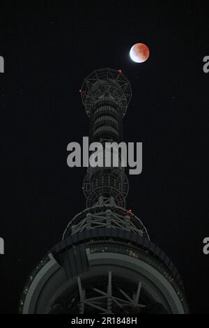 Eclissi lunare totale e albero del cielo di Tokyo Foto Stock