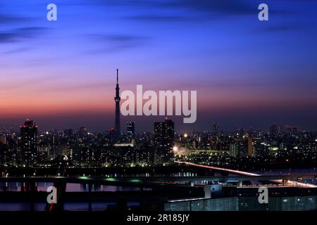 Vista notturna del cielo di Tokyo da Funabori Foto Stock