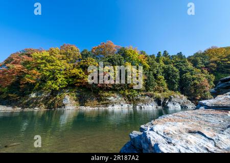 Nagatoro in autunno, zona rocciosa e foglie autunnali Foto Stock