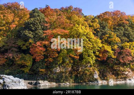 Nagatoro in autunno, zona rocciosa e foglie autunnali (paesaggio) Foto Stock