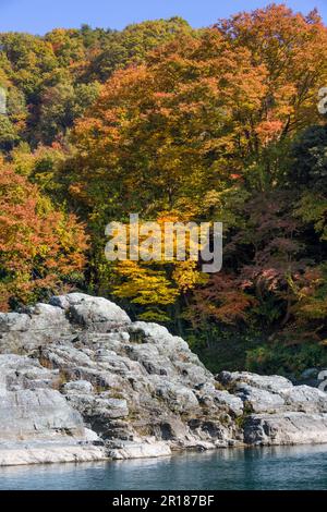 Nagatoro in autunno, zona rocciosa e foglie autunnali (ritratto) Foto Stock