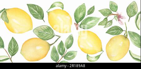 Acquerello limone disegnato a mano bordo senza cuciture, agrumi con foglie bordo ripetuto, disegno tessile, scheda Foto Stock
