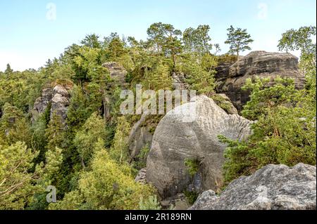 Vista dalla passeggiata sul crinale di Schrammsteinen in Svizzera Sassonia, Sassonia, Germania Foto Stock