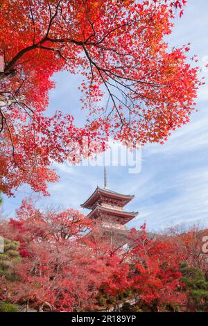 Fogliame autunnale del tempio di Kiyomizudera Foto Stock