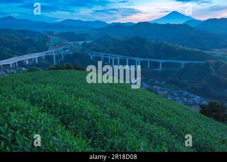 Fuji e New Tomei Expressway e piantagioni di tè al mattino Foto Stock