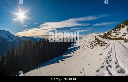 Fantastica escursione invernale al Denneberg sulla Nagelfluhkette da Tahlkirchdorf vicino Oberstaufen nelle splendide Alpi di Allgau Foto Stock