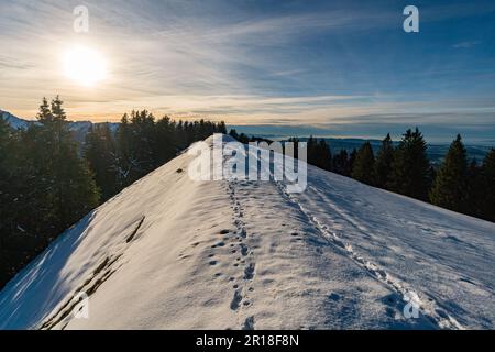 Fantastica escursione invernale al Denneberg sulla Nagelfluhkette da Tahlkirchdorf vicino Oberstaufen nelle splendide Alpi di Allgau Foto Stock