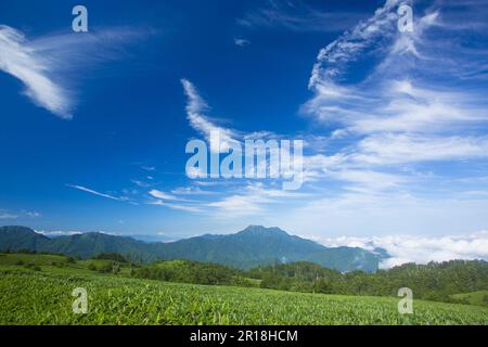 Monte Ishizuchi Foto Stock