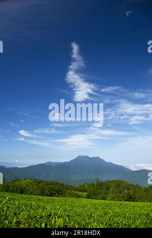 Monte Ishizuchi Foto Stock