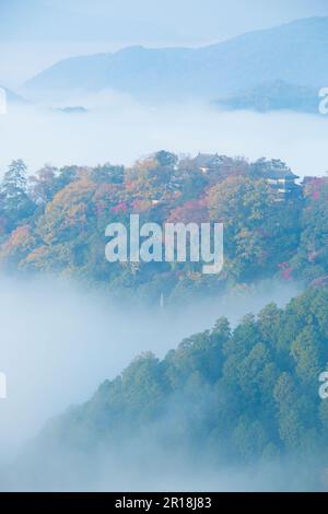 Bitchu Matsuyama Castello in nebbia Foto Stock