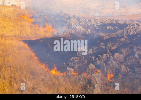 Akiyoshidai controllava la combustione della montagna Foto Stock