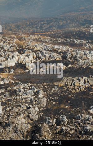 Akiyoshidai controllava la combustione della montagna Foto Stock